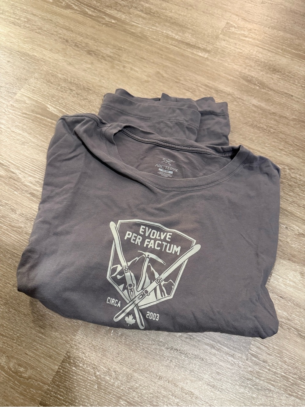 Arc'teryx Men's Charcoal Graphic Short-Sleeve Tee